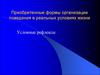 Приобретенные формы организации поведения в реальных условиях жизни. Условные рефлексы