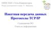 Пакетная передача данных. Протоколы TCP/IP