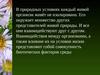 Взаимодействия между организмами, а также влияние их на условия жизни