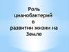 Роль цианобактерий в развитии жизни на Земле