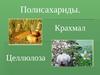Полисахариды. Крахмал. Целлюлоза