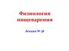 Физиология пищеварения