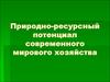 Природно-ресурсный потенциал современного мирового хозяйства
