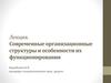 Современные организационные структуры и особенности их функционирования
