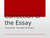 Essay #4. Correction of the Essay