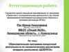 Аттестационная работа. Образовательная программа внеурочной деятельности по патриотическому воспитанию школьников «Добрята»