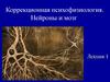 Коррекционная психофизиология. Нейроны и мозг. Лекция 1