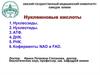 Нуклеиновые кислоты