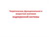 Теоретическая, функциональная и возрастная анатомия эндокринной системы