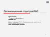 Организационная структура ИАС. ТИ 5
