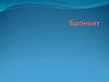 Бронхит. Воспаление слизистой оболочки бронхов