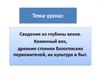 Каменный век. Древние стоянки бологовских первожителей, их культура и быт