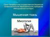 Мышечная ткань. Миология
