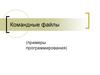 Командные файлы (примеры программирования)