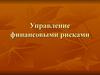 Управление финансовыми рисками. Сущность и генезис риска