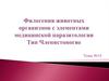 Тип Членистоногие. Филогения животных организмов с элементами медицинской паразитологии