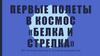 Первые полеты в космос. Белка и Стрелка