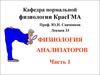 Физиология анализаторов. Часть 1