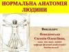 Рівні організації організму людини. Гістологія