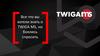 Компания TWIGA MS