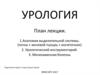 Урологические заболевания