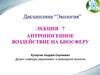 Антропогенное воздействие на биосферу. Рост техносферы в XX веке