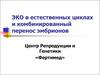 ЭКО в естественных циклах и комбинированный перенос эмбрионов
