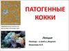 Патогенные кокки