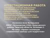 Аттестационная работа. Проект коллекции современной одежды для подростков