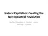 Natural Capitalism. Creating the Next Industrial Revolution