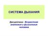 Система дыхания