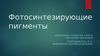 Фотосинтезирующие пигменты