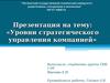 Уровни стратегического управления компанией