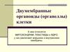 Двумембранные органоиды клетки