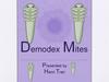 Demodex Mites