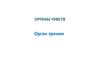 Органы чувств. Орган зрения