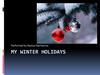 My winter holidays
