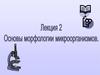 Основы морфологии организмов
