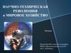 Научно-техническая революция и мировое хозяйство (10 класс)