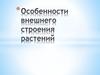 Особенности внешнего строения растений