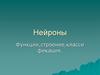 Нейроны. Функции, строение, классификация