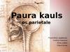 Paura kauls os parietale