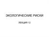 Экологические риски. (Лекция 12)
