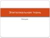 Эпителиальная ткань