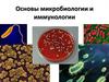 Основы микробиологии и иммунологии