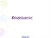 Биогеоценоз. Структурные компоненты биогеоценоза. Процессы, происходящие в биогеоценозе