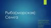 Рыба (морская): семга