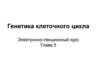 Генетика клеточного цикла. Надклеточный контроль клеточного деления, роста и апоптоза. (Глава 5)