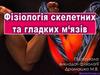 Фізіологія скелетних та гладких м‘язів