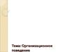Организационное поведение